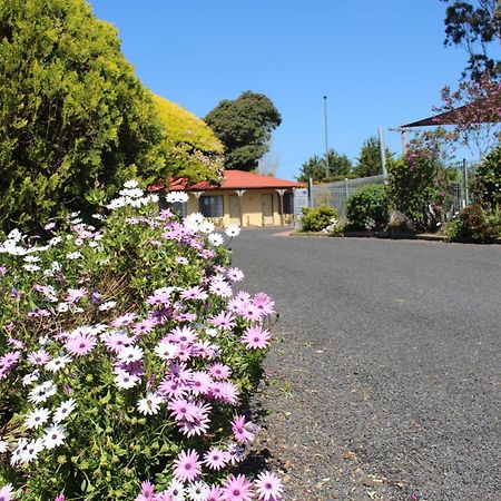 Colonial Motor Inn Pambula Exteriör bild