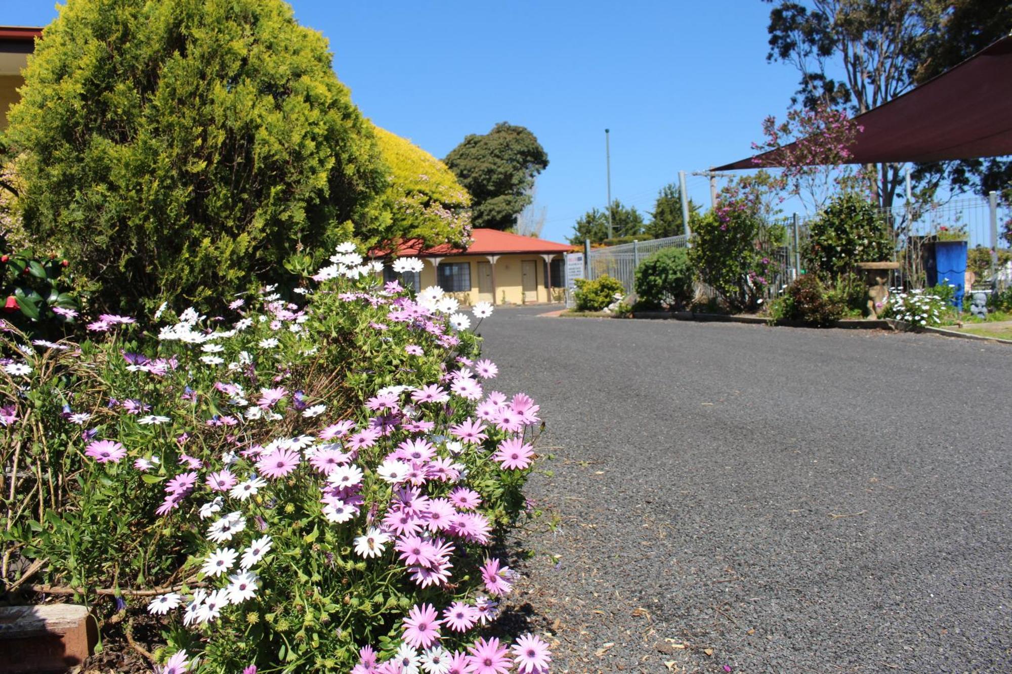 Colonial Motor Inn Pambula Exteriör bild