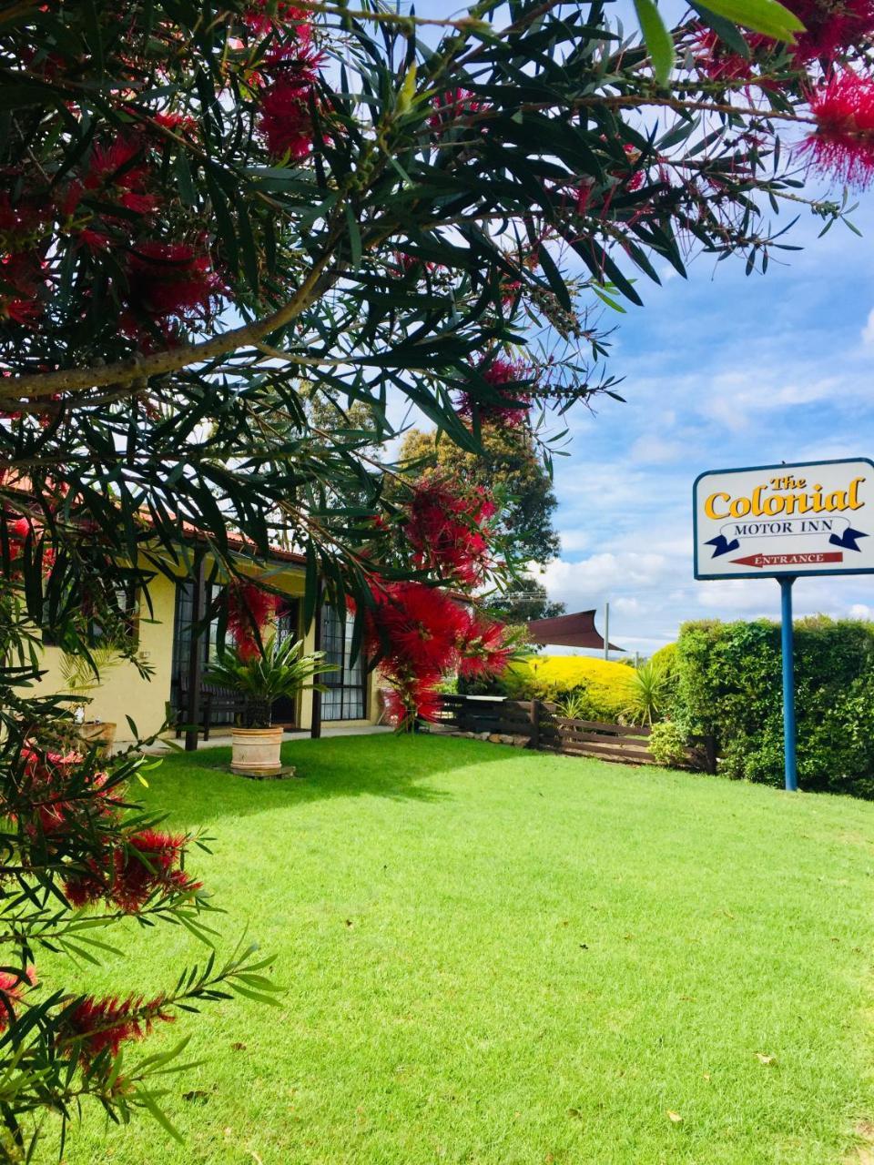 Colonial Motor Inn Pambula Exteriör bild